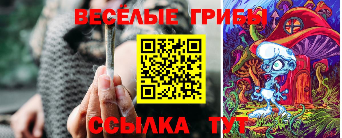 Псилоцибиновые грибы Cubensis Дедовск